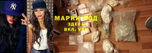 крисы Абаза