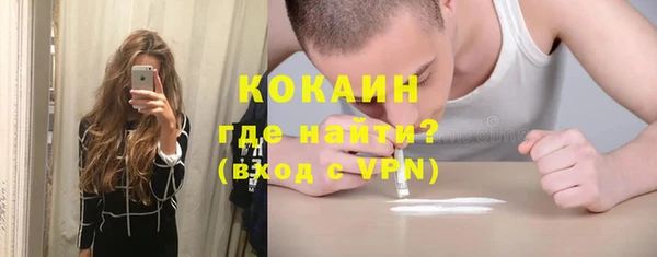 крисы Абаза