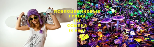 spice Абинск