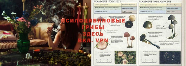 spice Абинск