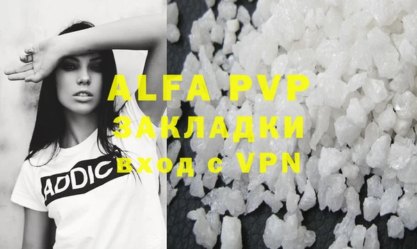 крисы Абаза