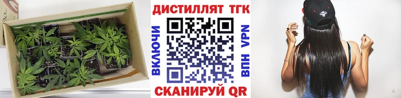 Дистиллят ТГК концентрат Партизанск