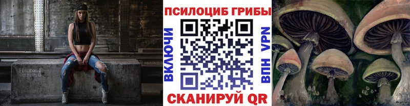Псилоцибиновые грибы Psilocybine cubensis наркотики Партизанск
