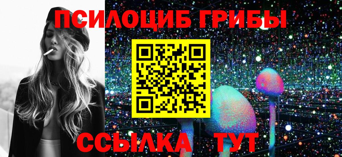 Галлюциногенные грибы Psilocybe  Вход с VPN  Партизанск 