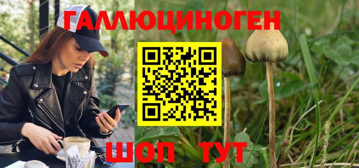 Псилоцибиновые грибы Magic Shrooms Партизанск